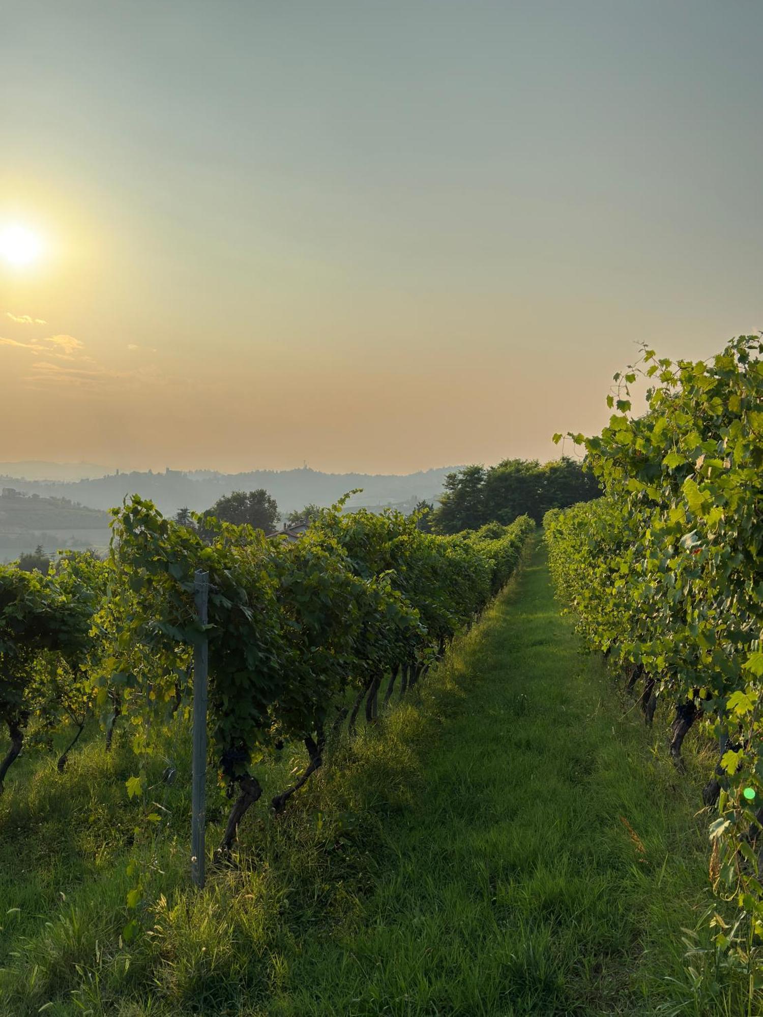 Relais Conac 1888 - Luxury B&B - Adults Only Castelnuovo Don Bosco Bagian luar foto